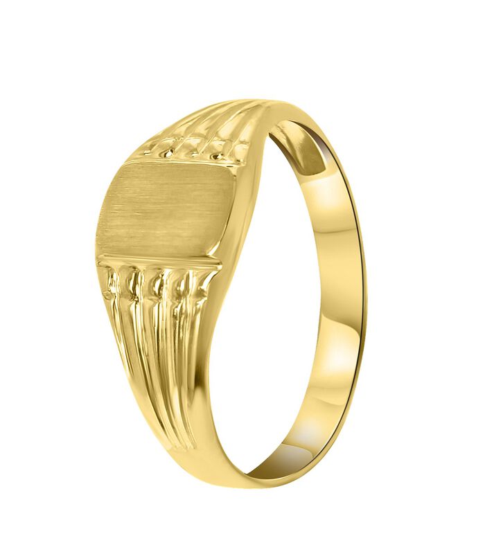 Ring 14 Karaat Goud - goudkleurig image number 0