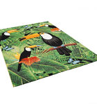 Vloerkleed Designer Faro Tropical Toucan image number 4