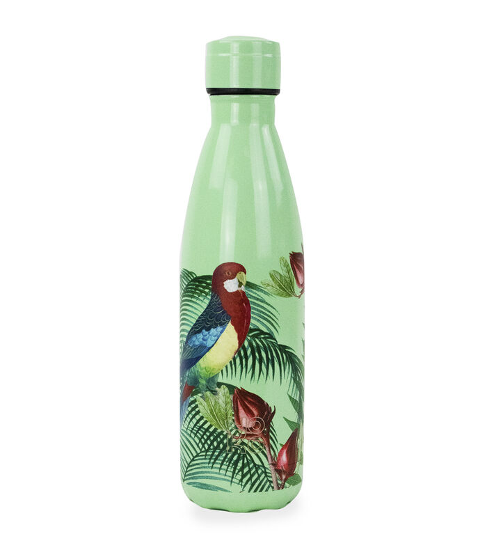 Isothermische fles " parrot" 500 ml image number 0