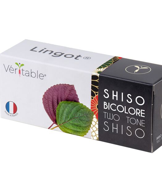Lingot® Shiso bicolor - voor Véritable® Moestuinen