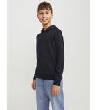 Sweatshirt à capuche enfant Bradley image number 2