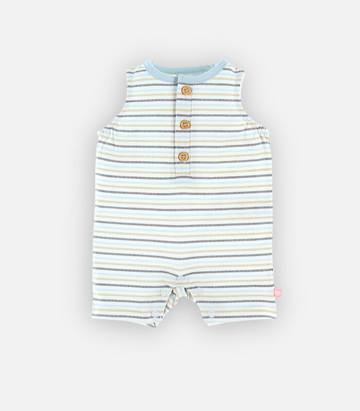 Pyjama combishort rayé en coton BIO, tricolore image number 2