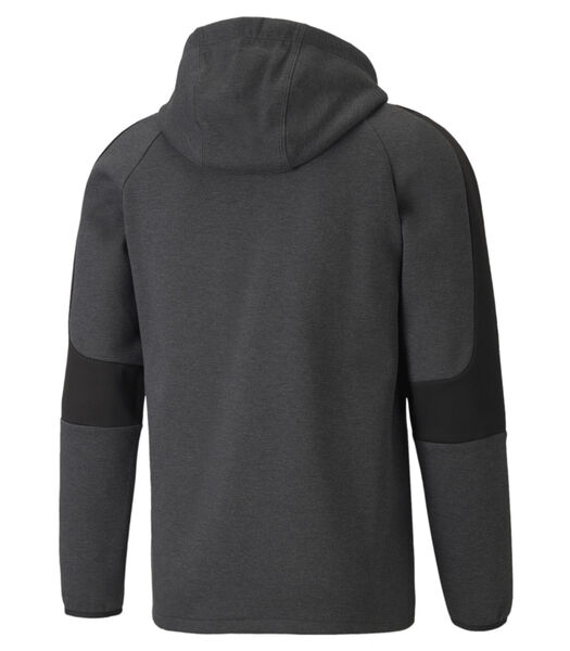 Sweatshirt à capuche Full-zip Evostripe Core