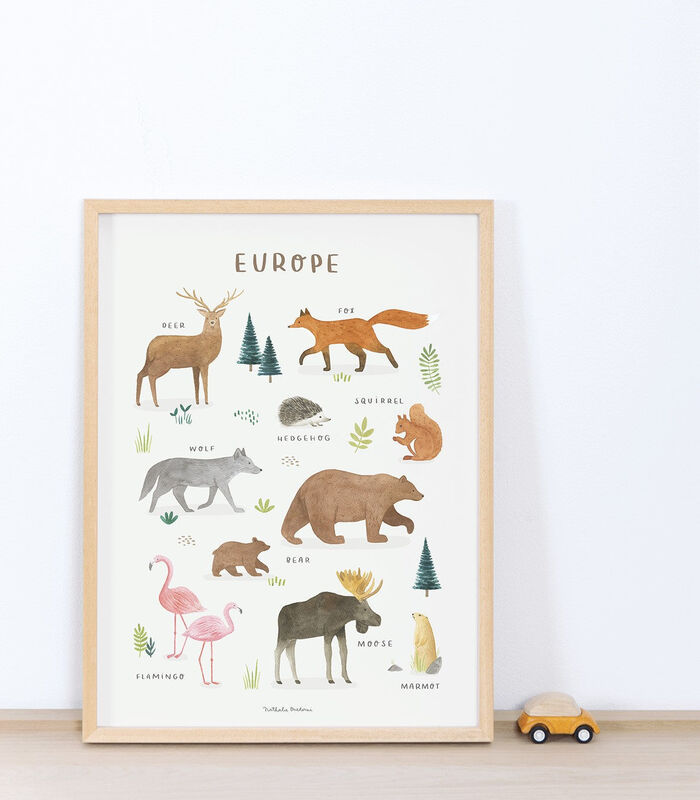 LIVING EARTH - Affiche enfant - Animaux d'Europe image number 2