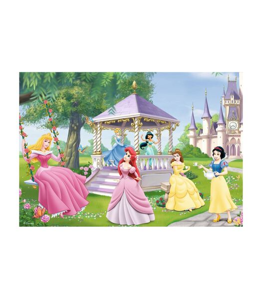 puzzle Princesses magiques 2x24p