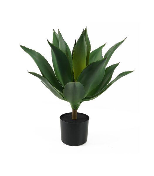 Plante artificielle Succlulent - Vert - 50x50x56cm