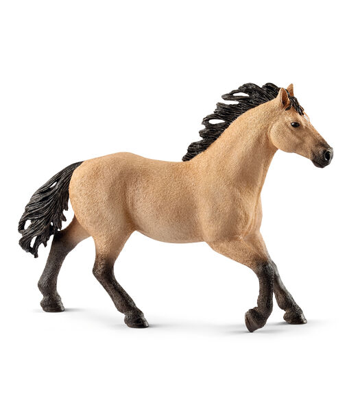 Paarden - Quarter Horse Hengst 13853