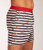 Wijde Boxershort Striped Blue and White Sports image number 3