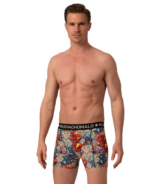 Boxershorts 3-Pack Alps