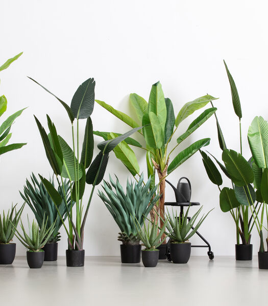 Plante artificielle aloe vera - Plastique - Vert - 46x14x14 cm