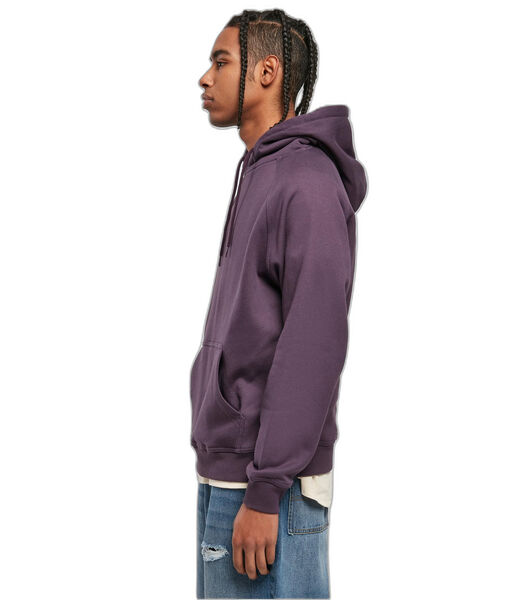 Hooded sweatshirt Blank GT