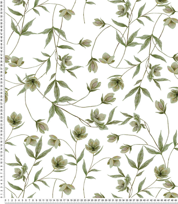 Papier peint 50cm x 10m fleurs Hellébore Wellington, Lilipinso image number 2