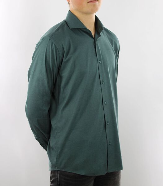 Kreukvrij en Strijkvrij  Overhemd - Groen - Regular Fit - Bamoe Katoen  - Heren