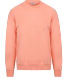 Sweater Roze image number 0