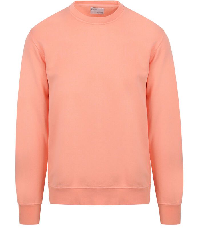 Sweater Roze image number 0