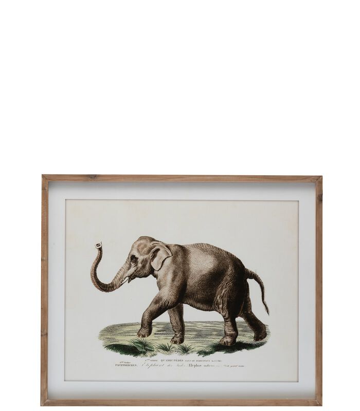 Cadre Elephant Bois/Verre Brun/Blanc image number 0