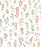 Papier peint herbier de fleurs Queyran, Lilipinso image number 0