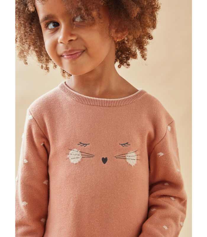 Robe chat tricot, foncé image number 1