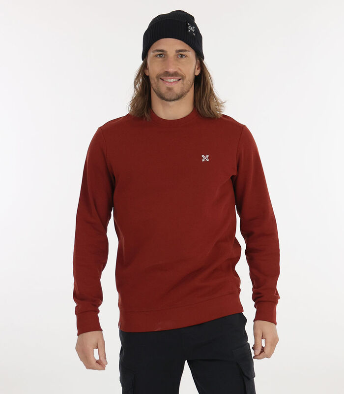Basic sweater met ronde hals P2SOUET image number 0