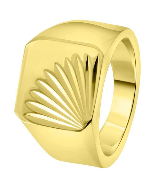 Ring Staal - goudkleurig