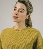 Cropped Sweater Mustard image number 1