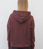 Oversized hoodie cropped image number 2