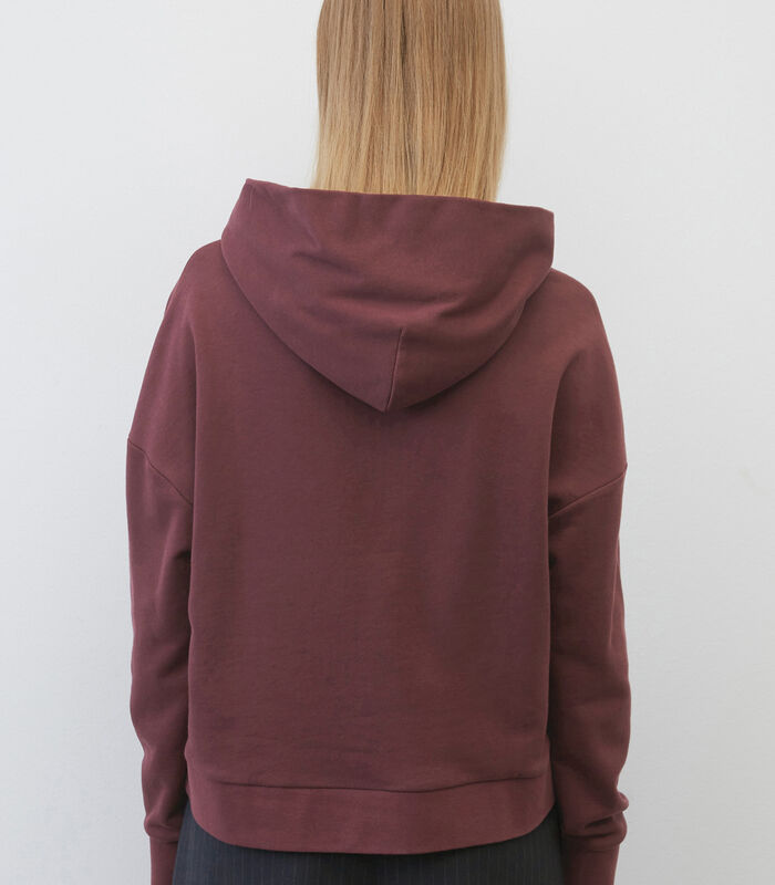 Oversized hoodie cropped image number 2
