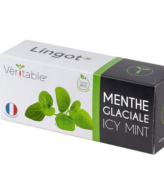 Lingot® Menthe glaciale BIO