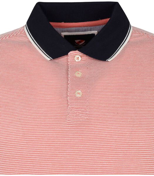 Suitable Knitted Polo Rose