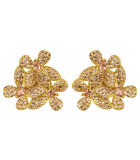 Boucles d'oreilles 'African Butterfly' image number 0