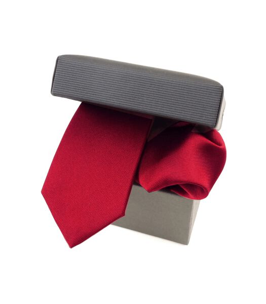 Ensemble cravate et pochette de costume en soie rouge