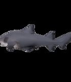 Jouets  Sealife Requin tigre de sable Groot - 387355 image number 5