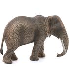 Safari - Éléphant d'Afrique, femelle 14761 image number 3