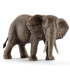 Safari - Éléphant d'Afrique, femelle 14761 image number 1