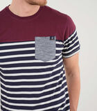 DIXON - Katoenen T-shirt met ronde hals image number 3