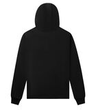 Sweater Q-Series Regular Fit Hoodie image number 1