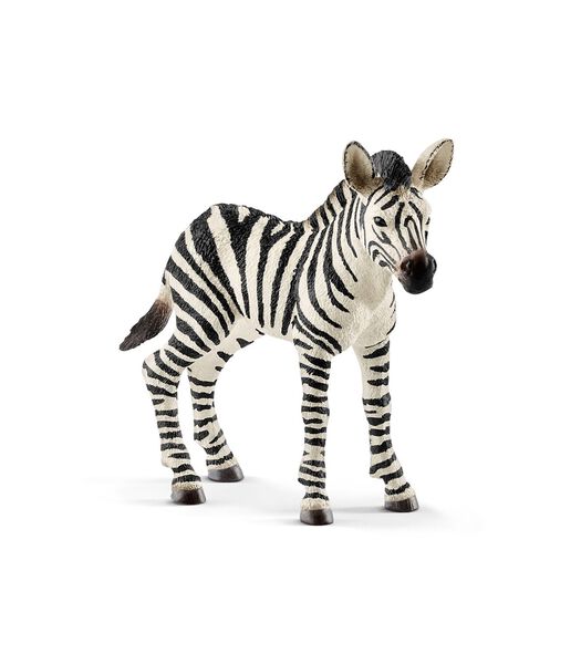 Safari - Zebra, Jong 14811