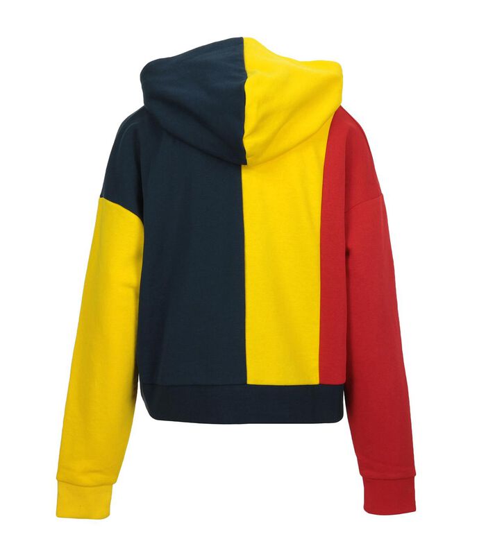 Sweat à capuche Taylor Blocked Hoody Kids image number 1