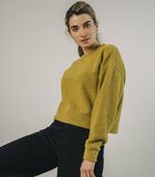 Cropped Sweater Mustard image number 4