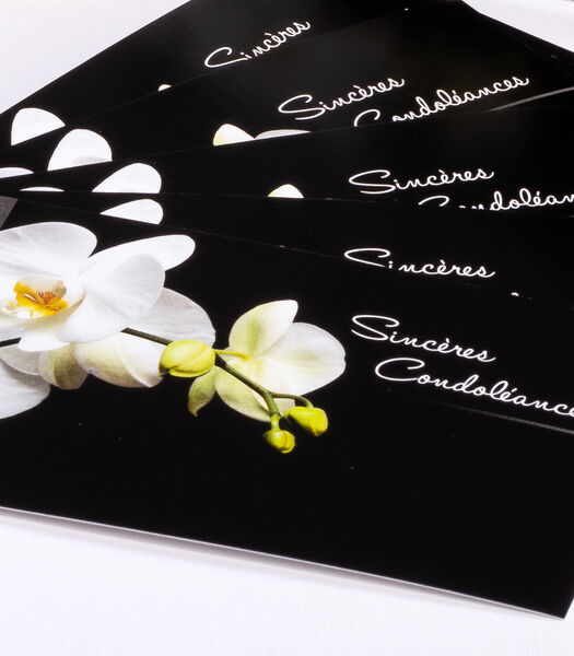 Pochettes de 6 cartes simples Condoléances orchidée