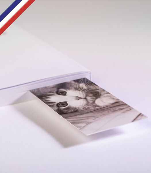 Bladwijzer gemaakt en gedrukt in Frankrijk - Kat en boek