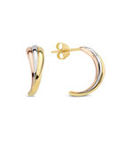 Tricolore Boucles d'oreilles Or IB360097 image number 0