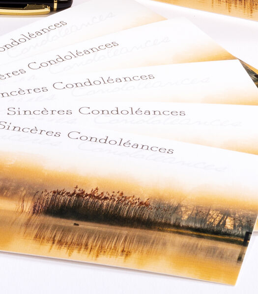 Pochettes de 6 cartes simples Condoléances paysage