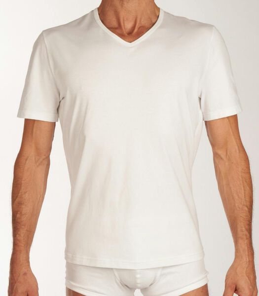 T-Shirt V-Hals GO Regular Fit