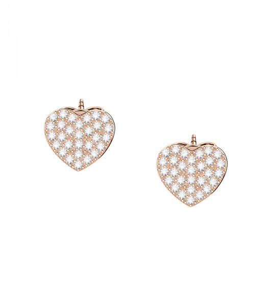 Boucles d'oreilles en argent 925 TRUE LOVE