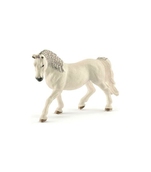 Paarden - Lipizzaner Merrie 13819