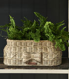Pot de fleurs intérieur naturel - Rotin rustique Bow Planter Oval image number 1