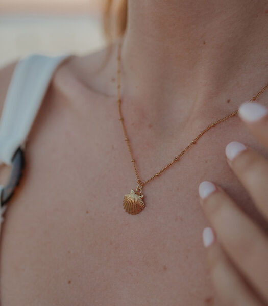 Bracelet Nérée Or Coquillage