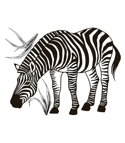 BLACK MAJIK - Grote sticker - De zebra