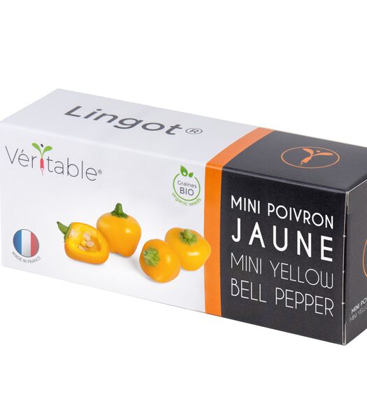 Lingot® Mini gele paprika BIO - voor Moestuinen